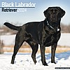 Black Labrador Calendar